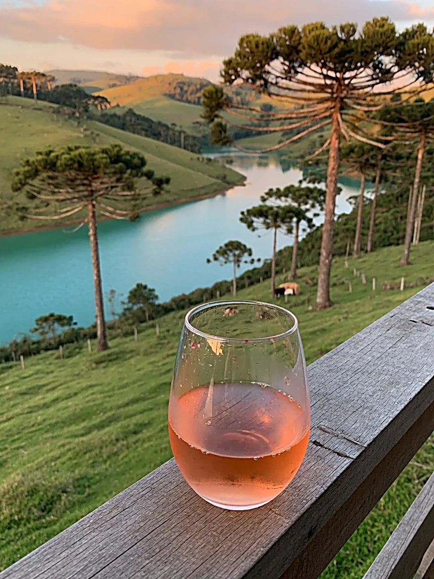Rosé de Merlot
